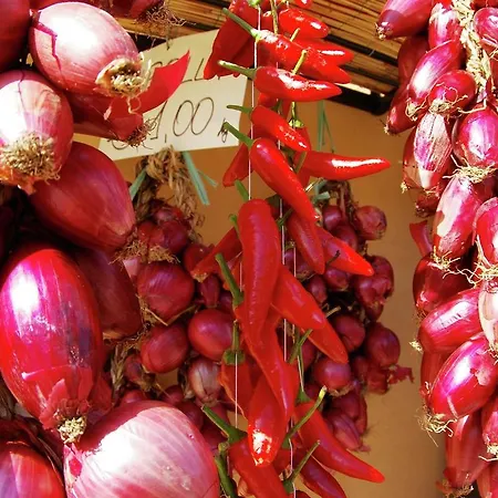 بيت للعطل Valentia